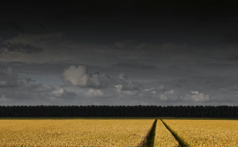 'De mooie Wieringermeer' - Foto: Kenneth Stamp