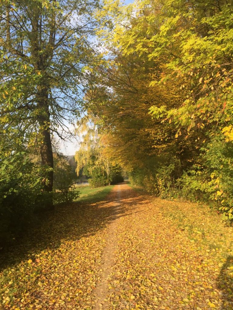 Herfst’